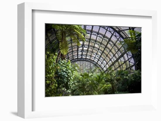 Inside the Botanical Building in Balboa Park in San Diego, California.  inside are over 350 Species-pdb1-Framed Photographic Print