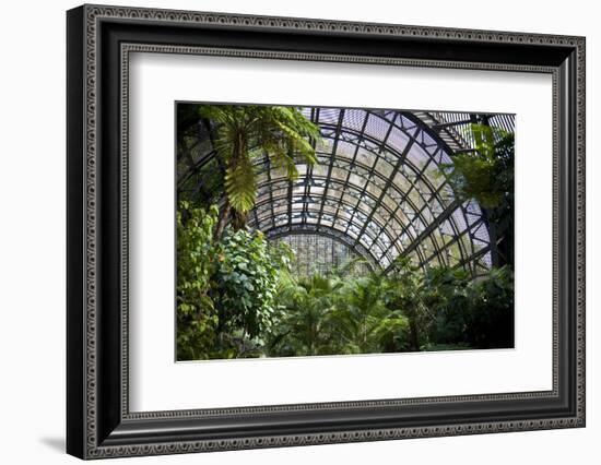 Inside the Botanical Building in Balboa Park in San Diego, California.  inside are over 350 Species-pdb1-Framed Photographic Print