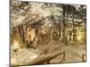 Inside the Caves D'Arta, Llevant, Mallorca, Balearic Islands, Spain, Europe-Andrew Stewart-Mounted Photographic Print