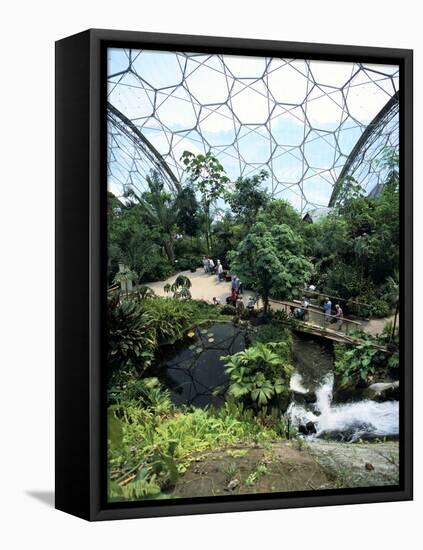 Inside the Humid Tropics Biome, Eden Project, Cornwall-Peter Thompson-Framed Premier Image Canvas