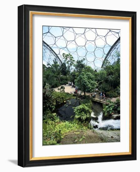 Inside the Humid Tropics Biome, Eden Project, Cornwall-Peter Thompson-Framed Photographic Print