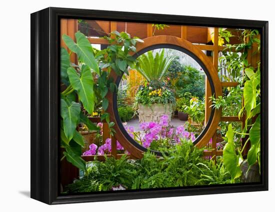 Inside the San Francisco Conservatory of Flowers, San Francisco, California, USA-Julie Eggers-Framed Premier Image Canvas