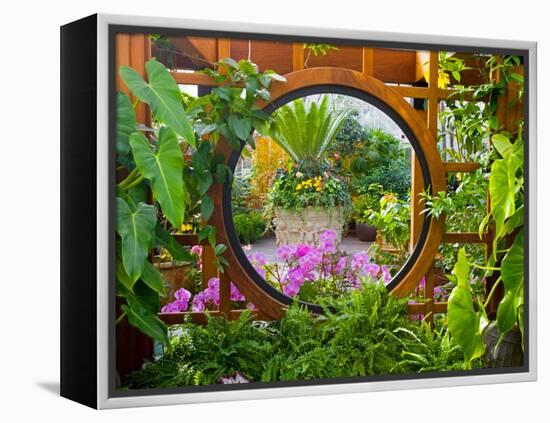 Inside the San Francisco Conservatory of Flowers, San Francisco, California, USA-Julie Eggers-Framed Premier Image Canvas