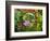 Inside the San Francisco Conservatory of Flowers, San Francisco, California, USA-Julie Eggers-Framed Photographic Print