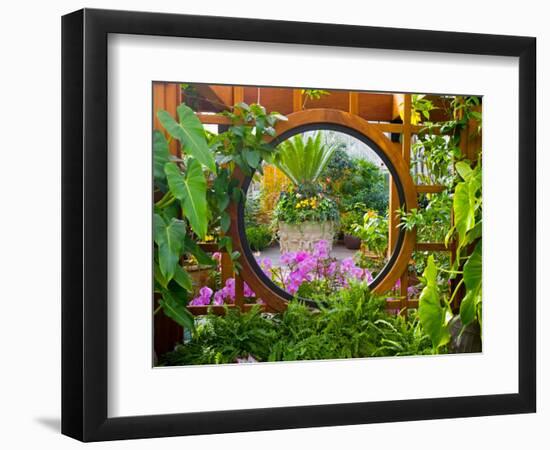 Inside the San Francisco Conservatory of Flowers, San Francisco, California, USA-Julie Eggers-Framed Photographic Print