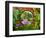 Inside the San Francisco Conservatory of Flowers, San Francisco, California, USA-Julie Eggers-Framed Photographic Print