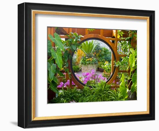 Inside the San Francisco Conservatory of Flowers, San Francisco, California, USA-Julie Eggers-Framed Photographic Print