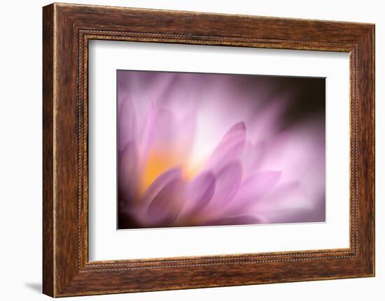 Inside-Ursula Abresch-Framed Photographic Print