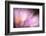 Inside-Ursula Abresch-Framed Photographic Print