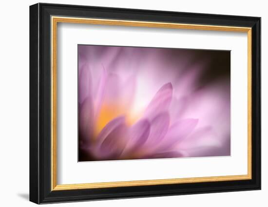 Inside-Ursula Abresch-Framed Photographic Print