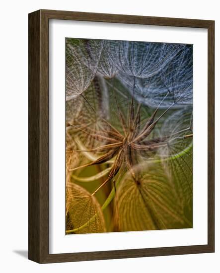 Inside-Kent Mathiesen-Framed Photographic Print