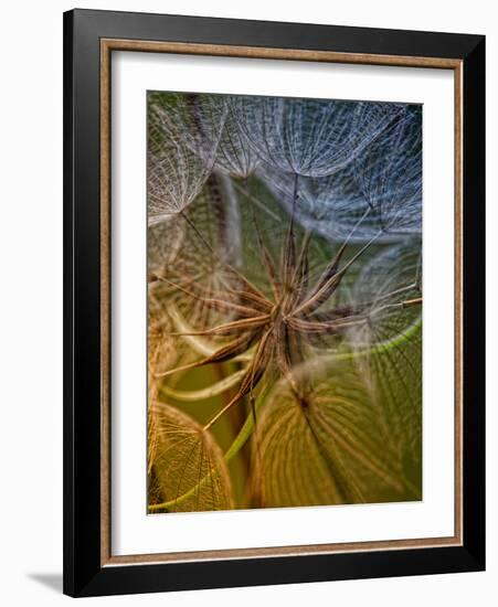 Inside-Kent Mathiesen-Framed Photographic Print