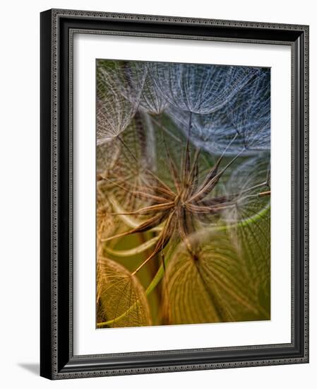 Inside-Kent Mathiesen-Framed Photographic Print