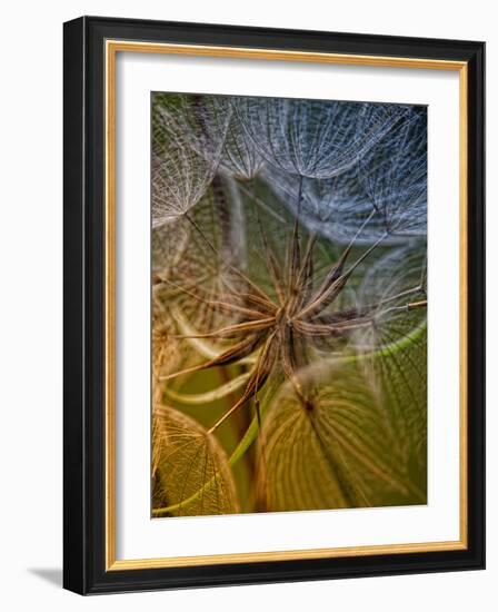 Inside-Kent Mathiesen-Framed Photographic Print