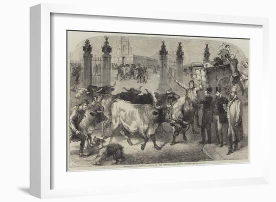 Inspection of Foreign Cattle at the Metropolitan Cattle Market-Harden Sidney Melville-Framed Giclee Print