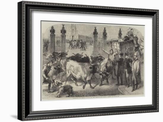 Inspection of Foreign Cattle at the Metropolitan Cattle Market-Harden Sidney Melville-Framed Giclee Print