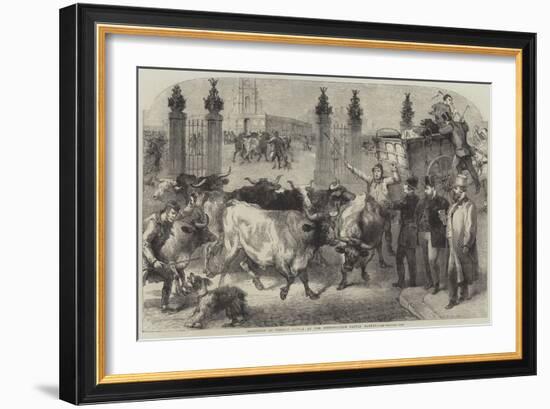 Inspection of Foreign Cattle at the Metropolitan Cattle Market-Harden Sidney Melville-Framed Giclee Print