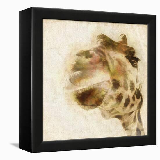 Inspektor I-Ryan Hartson-Weddle-Framed Stretched Canvas