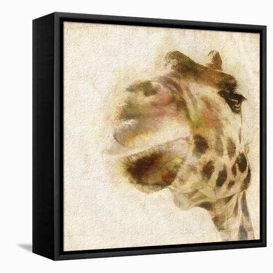 Inspektor I-Ryan Hartson-Weddle-Framed Stretched Canvas