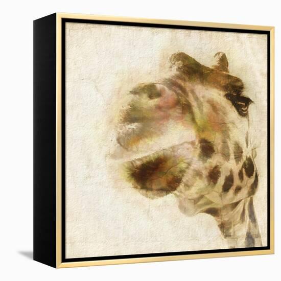 Inspektor I-Ryan Hartson-Weddle-Framed Stretched Canvas