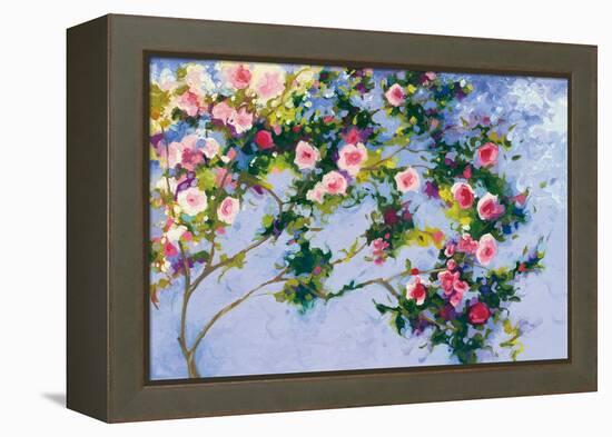 Inspiration Monet-Shirley Novak-Framed Stretched Canvas