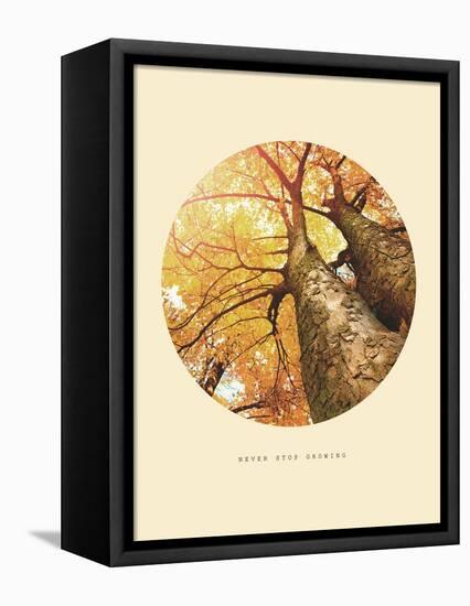 Inspirational Circle Design - Autumn Trees: Never Stop Growing-Subbotina Anna-Framed Stretched Canvas