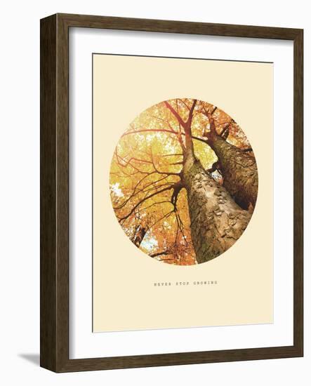 Inspirational Circle Design - Autumn Trees: Never Stop Growing-Subbotina Anna-Framed Art Print