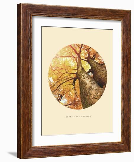 Inspirational Circle Design - Autumn Trees: Never Stop Growing-Subbotina Anna-Framed Art Print