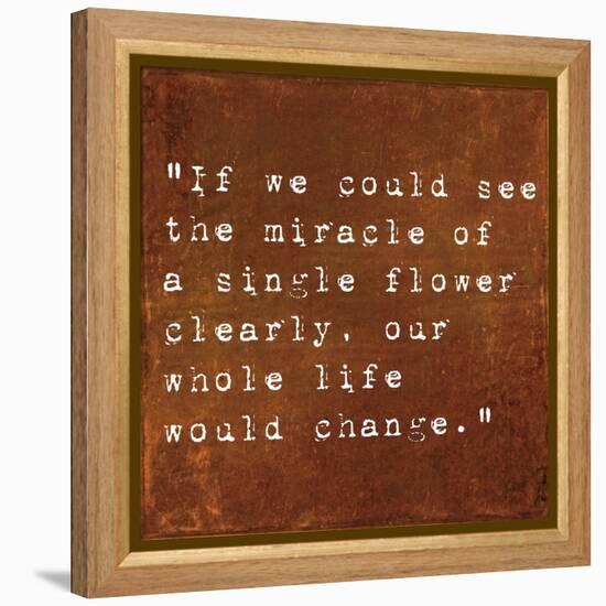 Inspirational Quote By Siddhartha Gautama (The Buddha) On Earthy Background-nagib-Framed Stretched Canvas