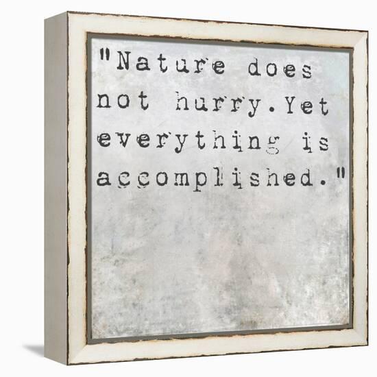 Inspirational Quote Lao Tzu By On Earthy Background-nagib-Framed Stretched Canvas