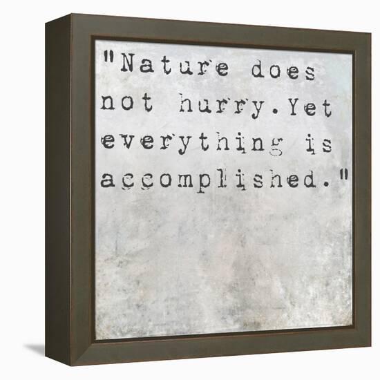 Inspirational Quote Lao Tzu By On Earthy Background-nagib-Framed Stretched Canvas