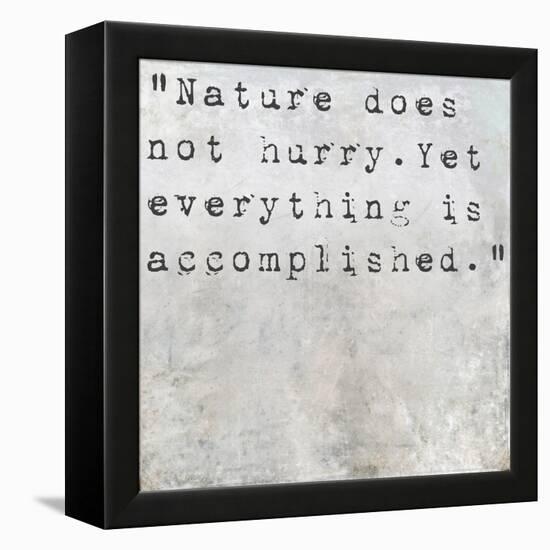 Inspirational Quote Lao Tzu By On Earthy Background-nagib-Framed Stretched Canvas