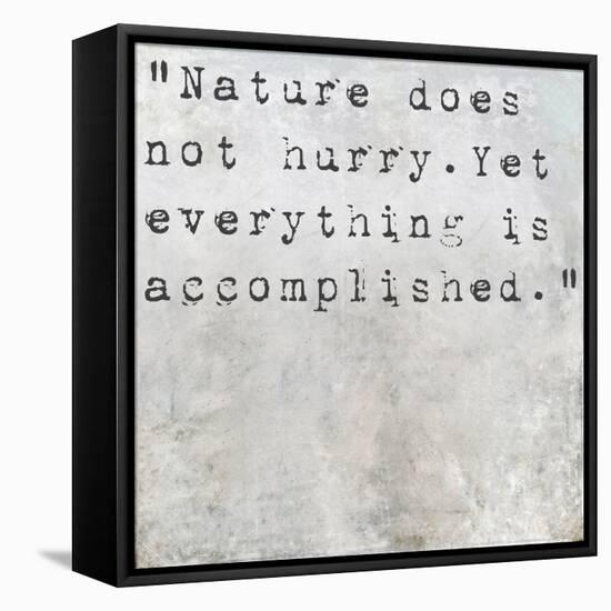 Inspirational Quote Lao Tzu By On Earthy Background-nagib-Framed Stretched Canvas