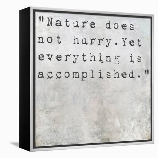 Inspirational Quote Lao Tzu By On Earthy Background-nagib-Framed Stretched Canvas