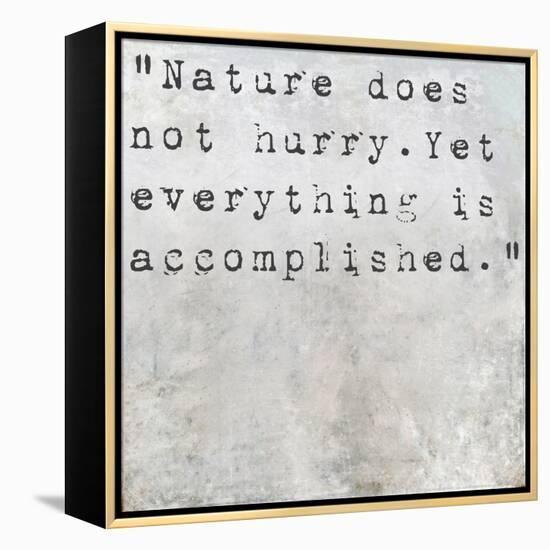 Inspirational Quote Lao Tzu By On Earthy Background-nagib-Framed Stretched Canvas