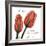 Inspire Tulips-Albert Koetsier-Framed Photographic Print