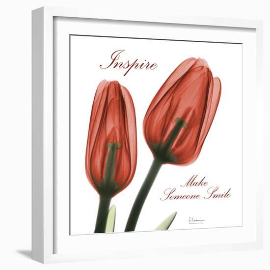 Inspire Tulips-Albert Koetsier-Framed Photographic Print