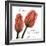 Inspire Tulips-Albert Koetsier-Framed Photographic Print