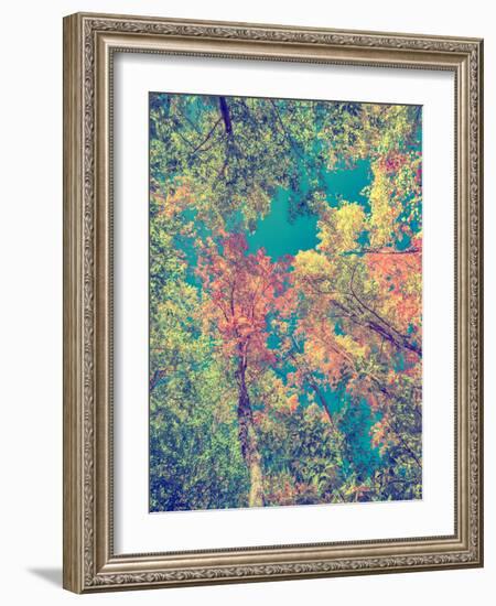 Instagram Autumn Leaves-SHS Photography-Framed Photographic Print