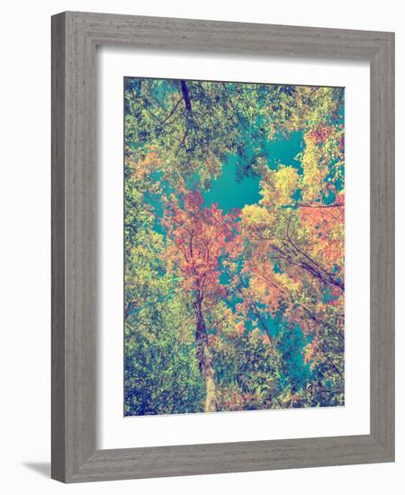 Instagram Autumn Leaves-SHS Photography-Framed Photographic Print