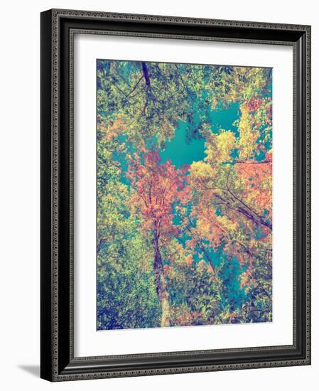 Instagram Autumn Leaves-SHS Photography-Framed Photographic Print