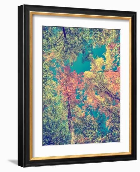 Instagram Autumn Leaves-SHS Photography-Framed Photographic Print