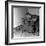 Installing a Damp Proof Course in a House in Goldthorpe, South Yorkshire, 1957-Michael Walters-Framed Photographic Print