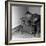 Installing a Damp Proof Course in a House in Goldthorpe, South Yorkshire, 1957-Michael Walters-Framed Photographic Print