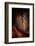 Instant Fragile-Philippe Sainte-Laudy-Framed Photographic Print