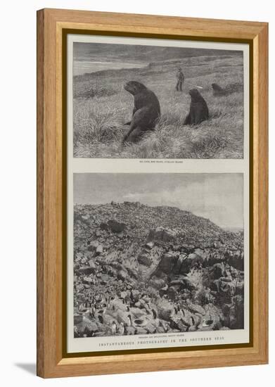 Instantaneous Photography in the Southern Seas-null-Framed Premier Image Canvas