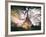 Instants of Series - Eiffel Tower - Paris, France-Philippe Hugonnard-Framed Photographic Print