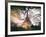 Instants of Series - Eiffel Tower - Paris, France-Philippe Hugonnard-Framed Photographic Print