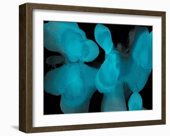 Instinctive-Hannah Carlson-Framed Art Print