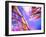 Insulated Electronic Wires-Chris Knapton-Framed Photographic Print